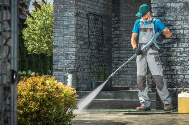 Best Sidewalk and Walkway Cleaning  in Novato, CA