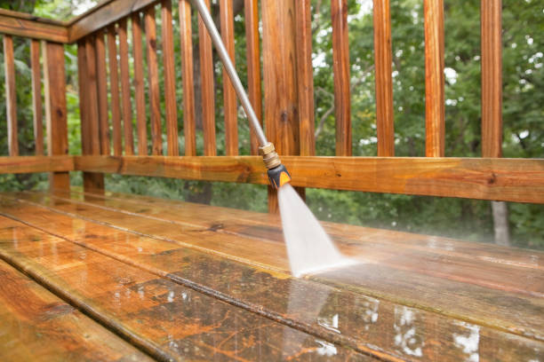 Best Fence Cleaning  in Novato, CA